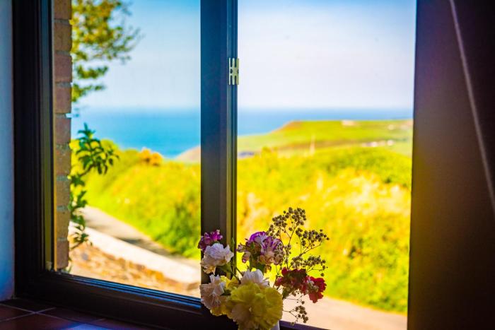 Polrunny Farm Elderberry Cottage with sea view