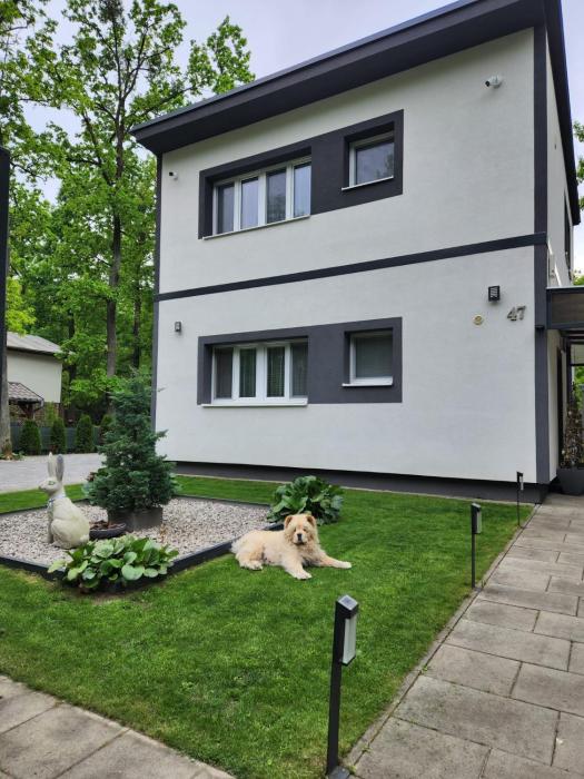 Apartmán Kocka na prízemí