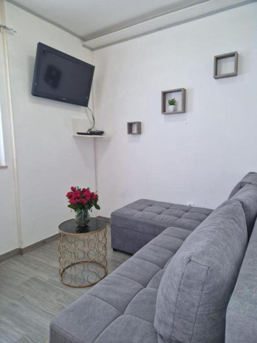 Studio Apartment Frane
