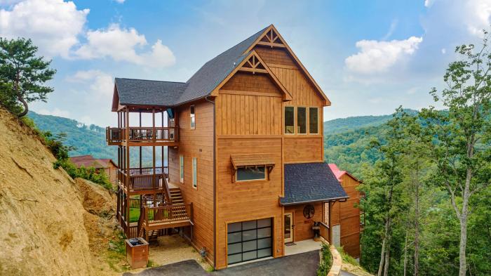 A Baby Bear, Free Tickets, NO CATCH!