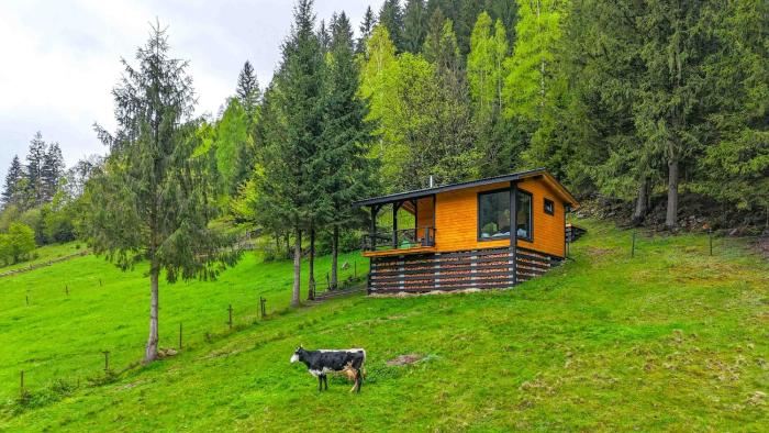 «Yo Hill» - «Йо Хілл» - Будинок в горах