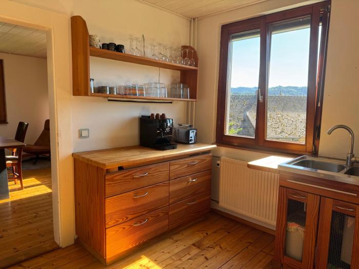 Romantic Gem at Black Forest - Cozy Historic Apartment - 30min to EuropaPark