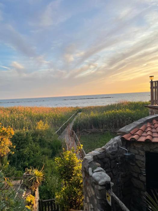 Restart Accommodations Nerone