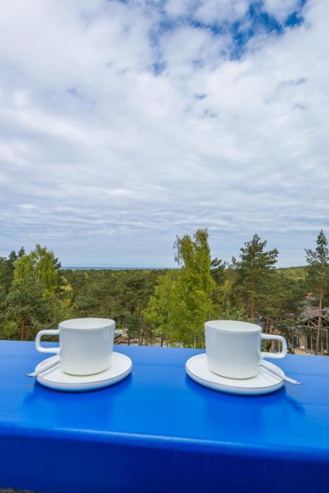 Atnaujinti buvę poilsio namai "Nidos Rūta"