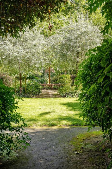 The Notting Hill Central Oasis