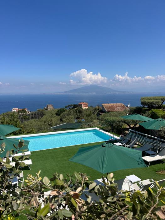 Sorrento Olive Tree Garden