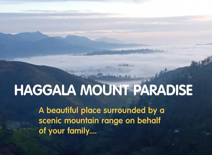 Hakgala Mount Paradise
