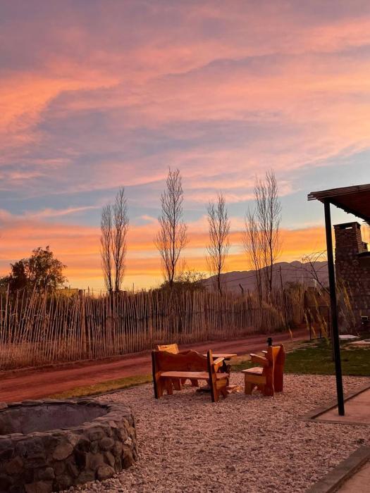 Cactus del Talampaya 1