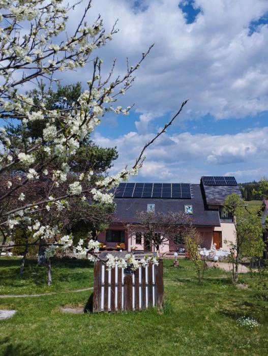 Pensiunea La Plai - Oază de Relaxare