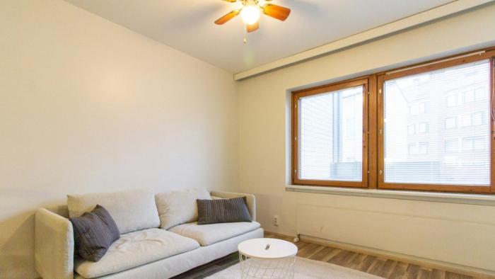 Spacious Apartment for 3