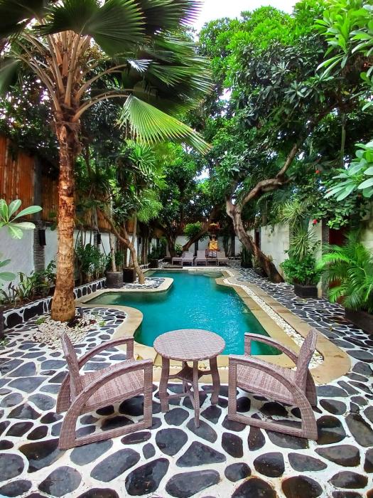 Scallywags Mango Retreat