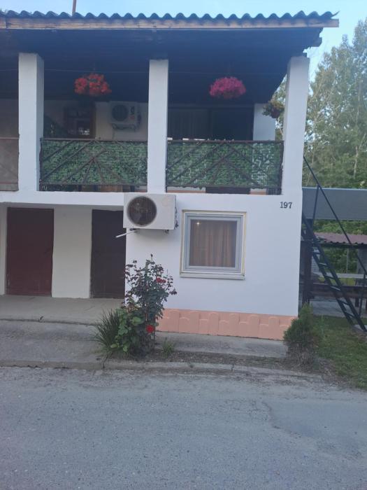 Vikendica Bagremov hlad Apatin