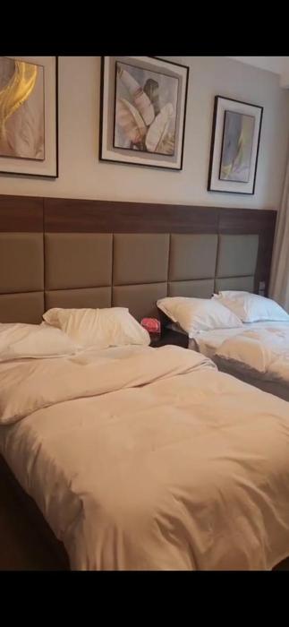 هيلتون المعادى