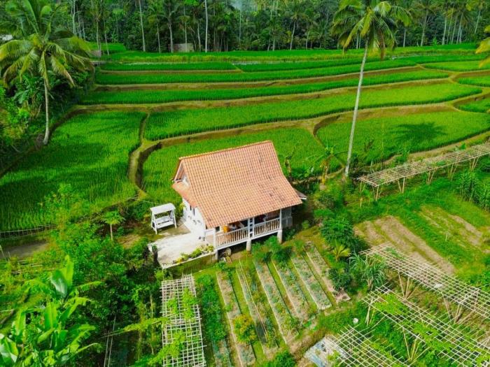Pondok Is Oke Villa Scenic View
