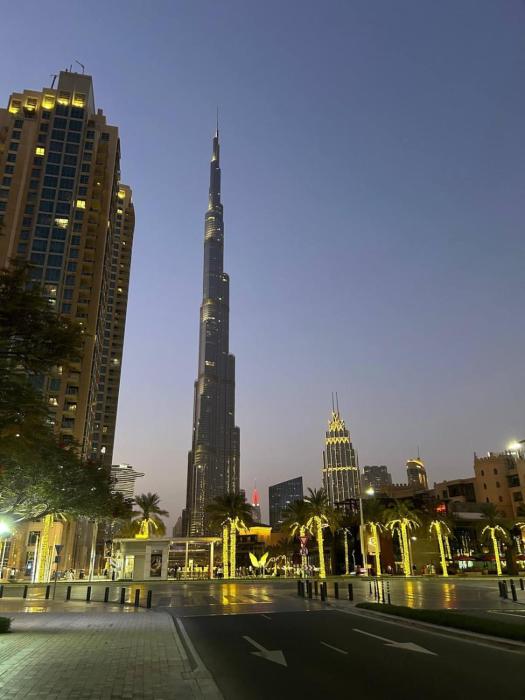 Cozy 1BR Apart Downtown Burj Khalifa and Dubai Mall