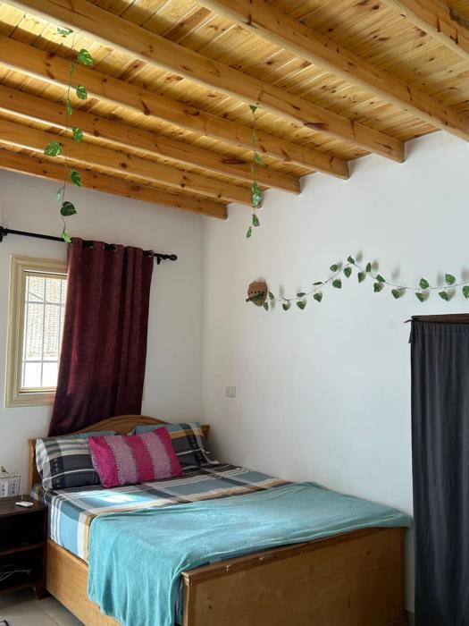 Quiet house in the Lighthouse