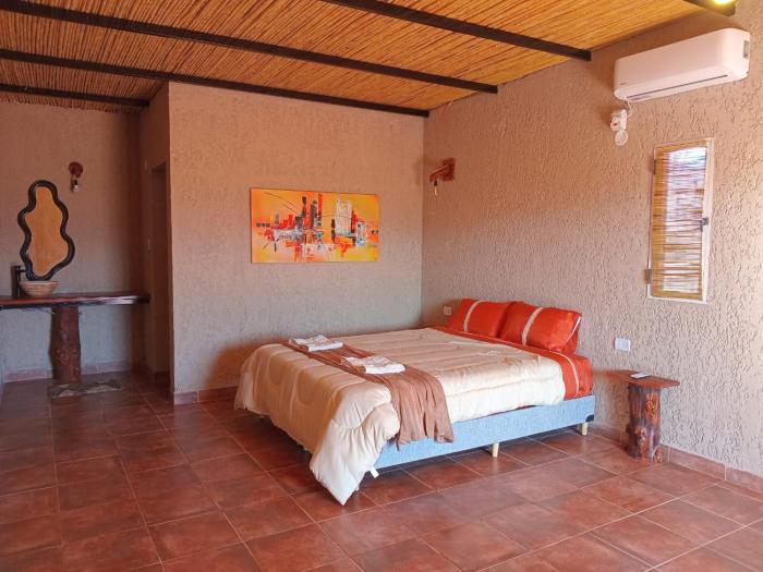 Cactus del Talampaya 2