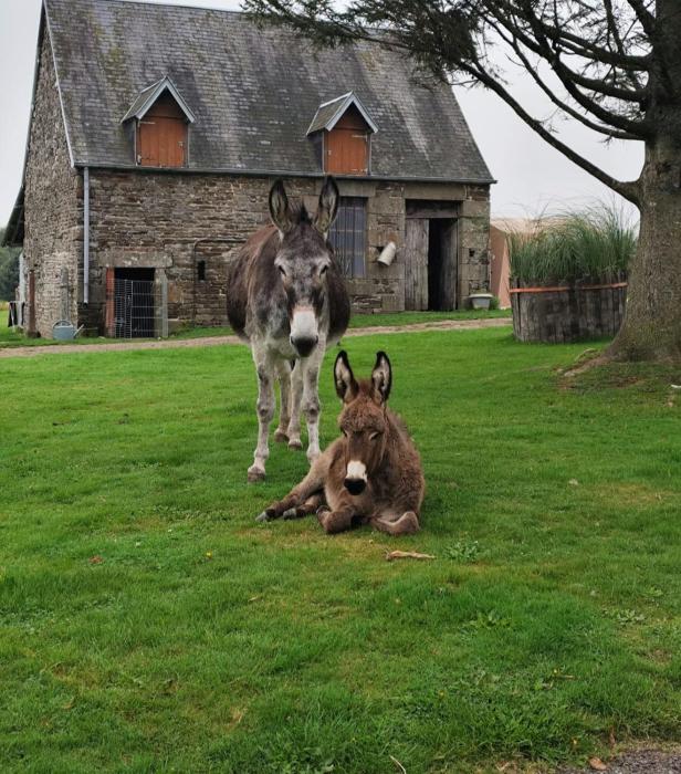 La Billardière Camping à la Ferme