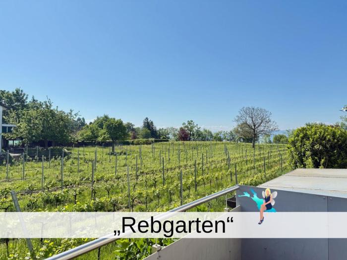 Ferienwohnung Rebgarten - gemütliche und komfortable Familienunterkunft