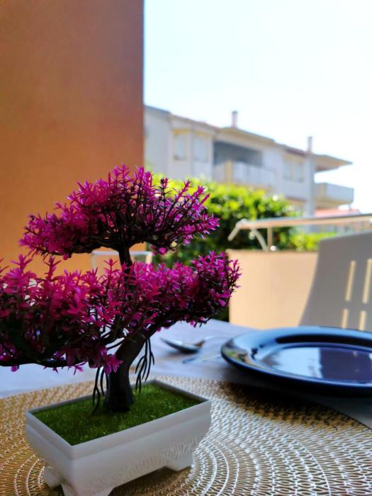 Novalja apartment Riki