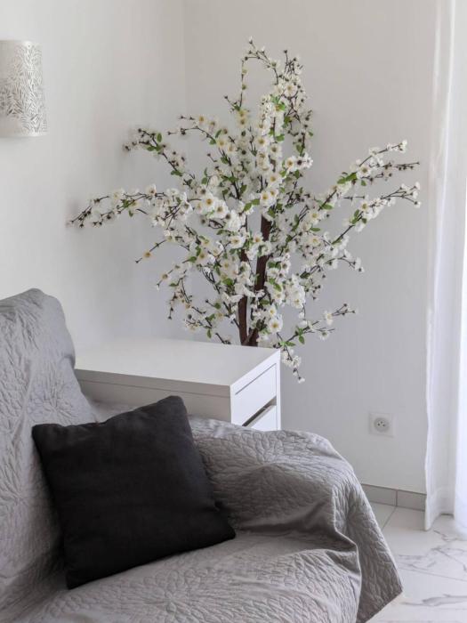 Palm Beach Studio Right Next To The Sea