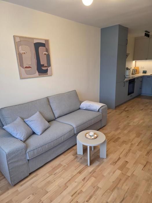 Apartament Sky Point Jelitkowo