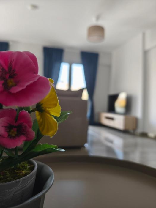 David Luxury Experience Γ3