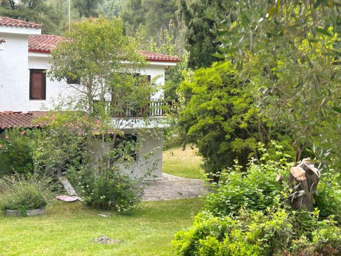 Villa Sea and Forest - Elani Halkidiki