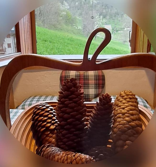 La finestra sui monti