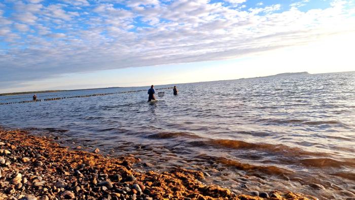 App 7o KleinerTag am Meer