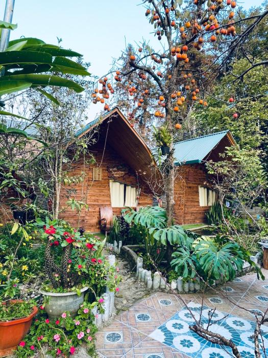 Nobita Homestay bắc hà