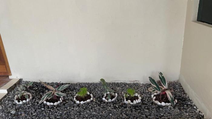 Serene Japandi Ryokan - Green Staycay in Jakarta