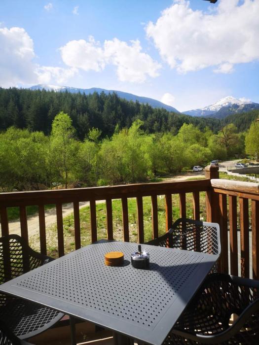 Woodsy views 1 bedroom apartment