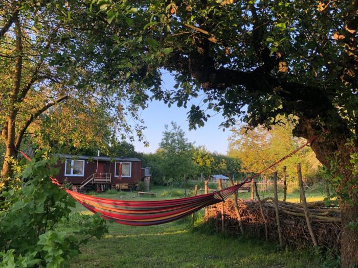 Wilde Möhre Bauwagen Sommerküche Draussen Abenteuer