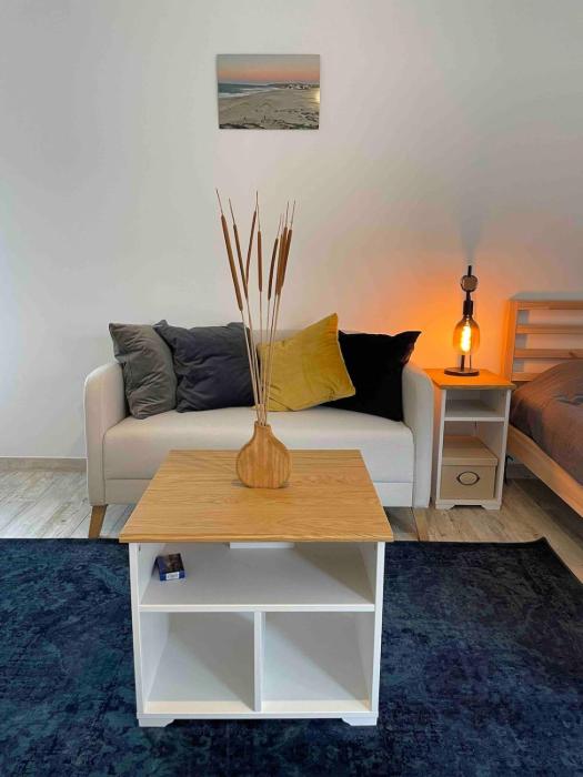 Spacious Studio in Sunny Villa Minutes to Beach