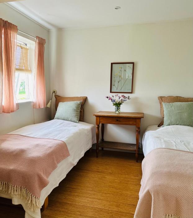 Camønogaarden B&B, darksky cabins and events