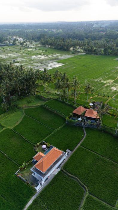 Kubu Cinta Ubud