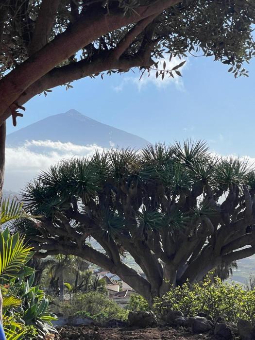 Great views & heated pool - El Perenquen 5