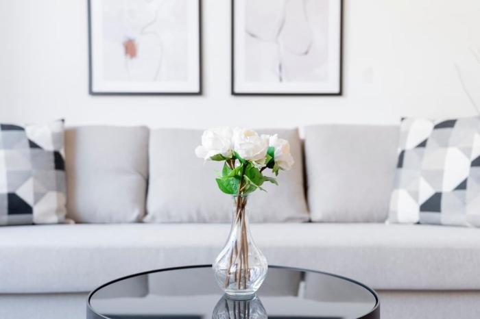 Beautiful apartment in Viennas heart Old