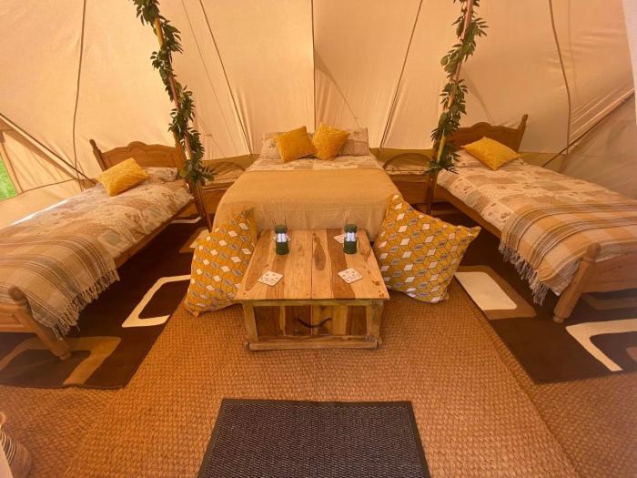 Hendre Glamping Retreat, The Rabbit Warren