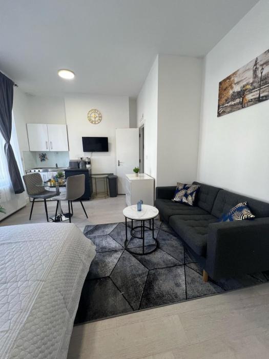 Spacious studio 10 mins to Metro 1 min to the bus