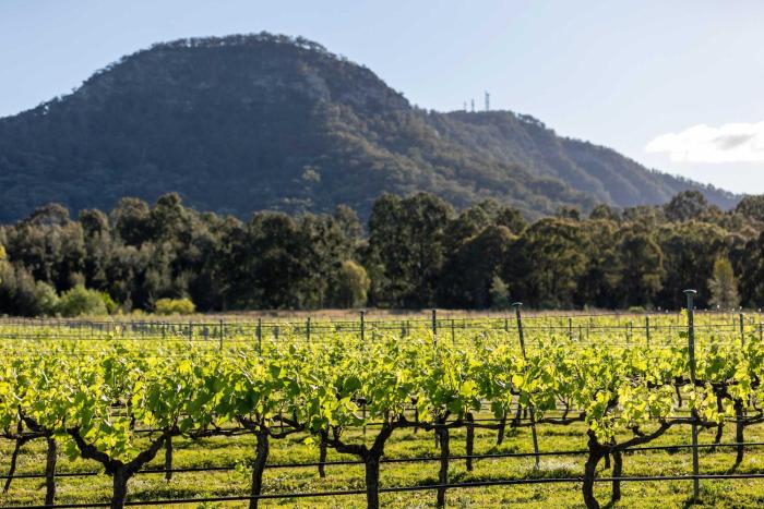 Brokenback Vineyard Cottage