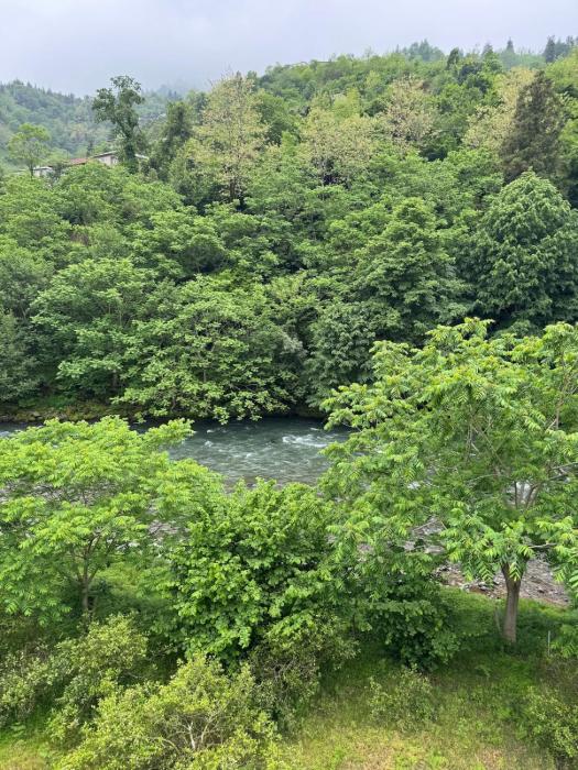 sleep to the river sound