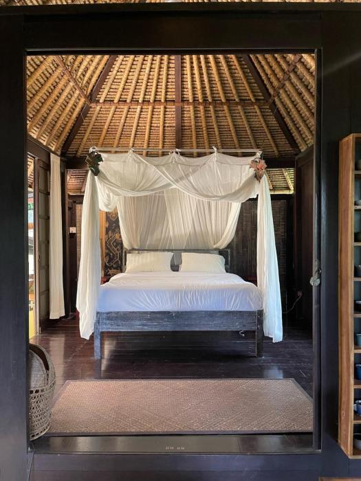 Heliconia, at T house kaja