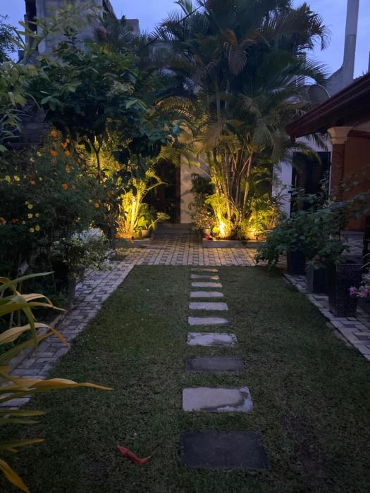 Evergreen garden