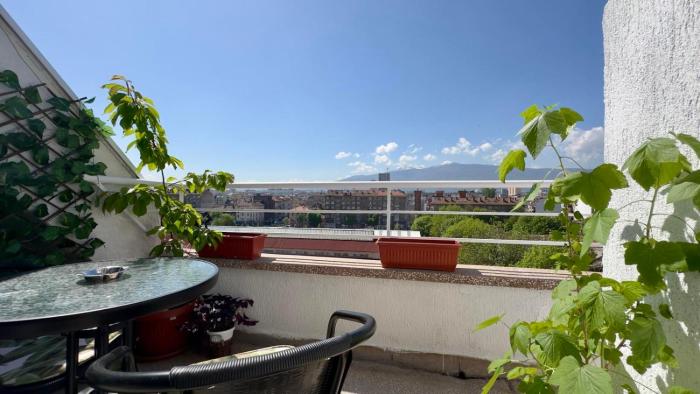 The Nest Above Sofia Studio