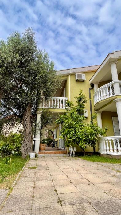 Villa Green Olive Bar