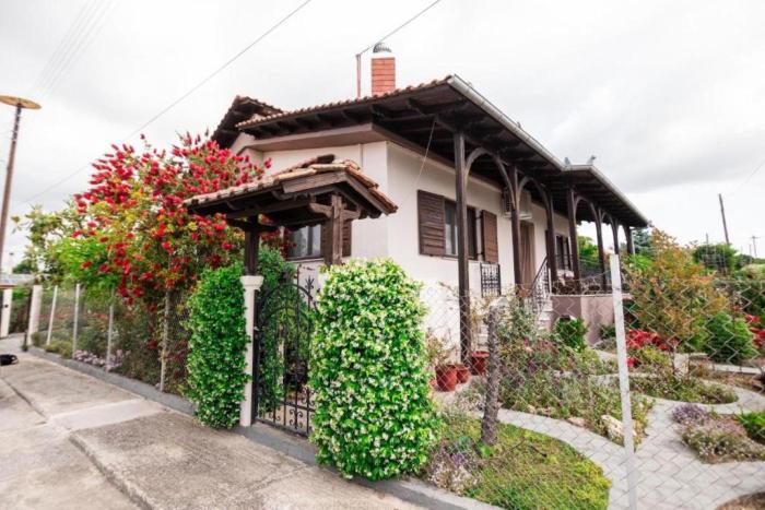 Red Roses-Traditional House