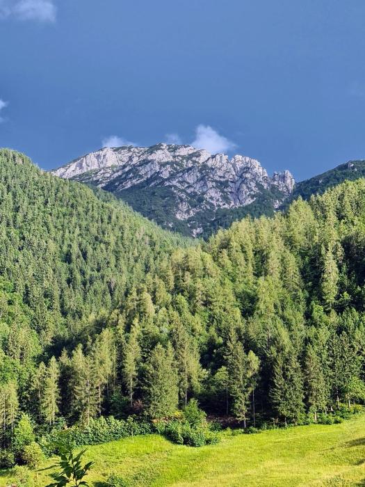 Apartamento Pino Verde in San Colombano VT Vista, Natura, Wifi