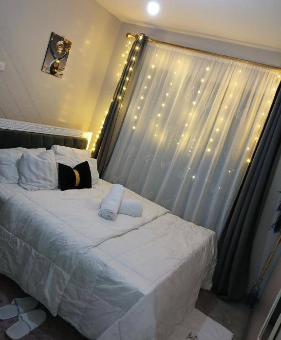 Natt homes near jkia